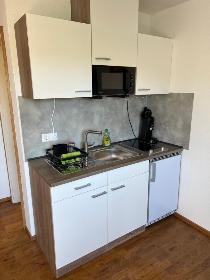 Apartment Malerkarle Zentral *