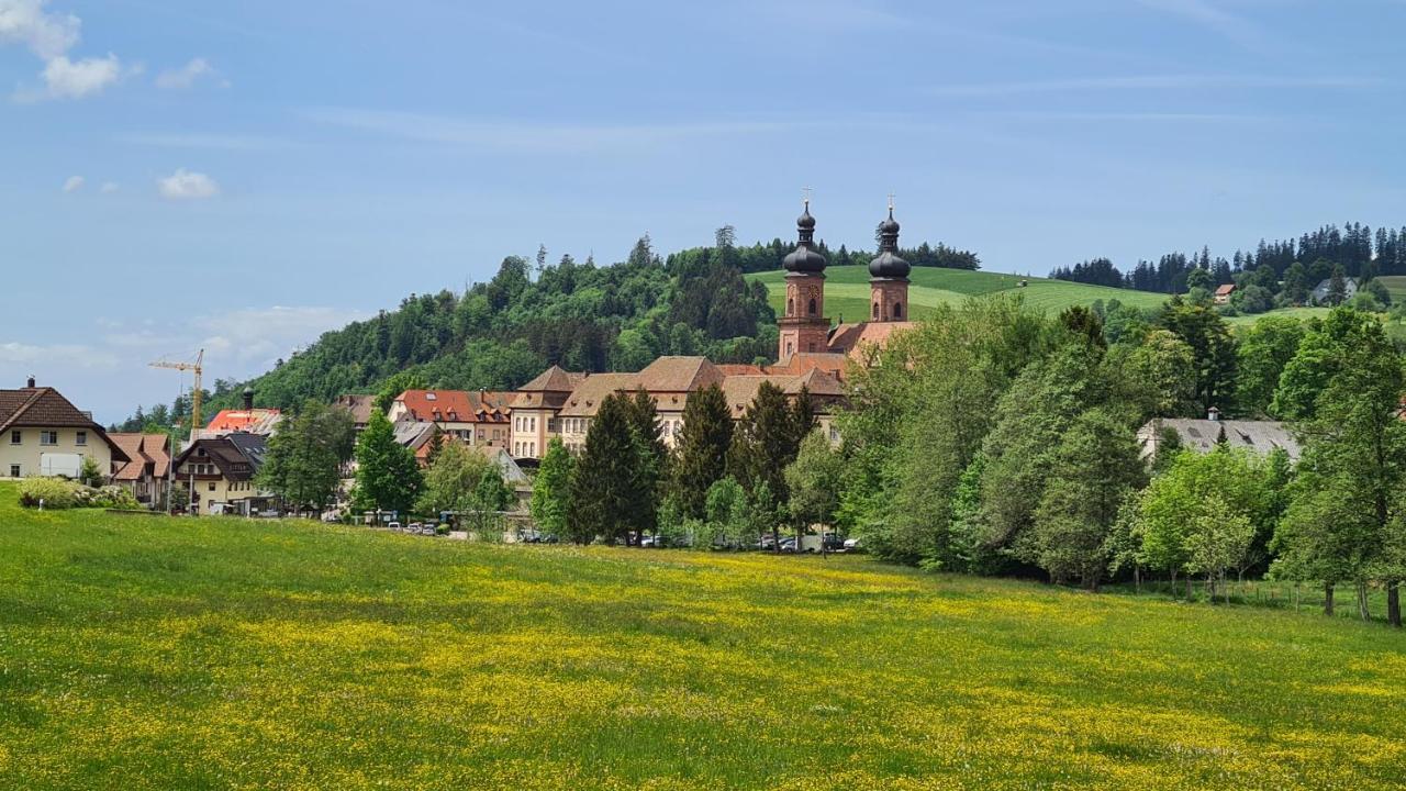 Malerkarle Zentral *
